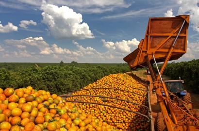 FAZENDA A VENDA ➕️ FÁBRICA DE SUCO INTERIOR – SP 2 Unidades 30.000m². Exporta para mais de 50 países