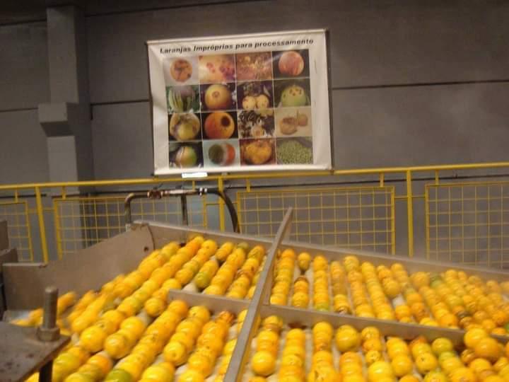 FAZENDA A VENDA ➕️ FÁBRICA DE SUCO INTERIOR – SP 2 Unidades 30.000m². Exporta para mais de 50 países