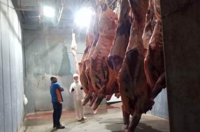 FRIGORÍFICO, ABATEDOURO E COMERCIALIZAÇÃO DE BOVINOS E SUÍNOS COM TRANSPORTES