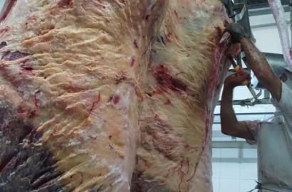 Frigorífico Oportunidade em Minas Gerais